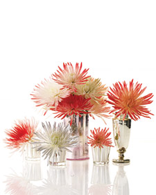 Fiery Flowers Display