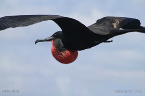 IMG_9494 IMG_9494