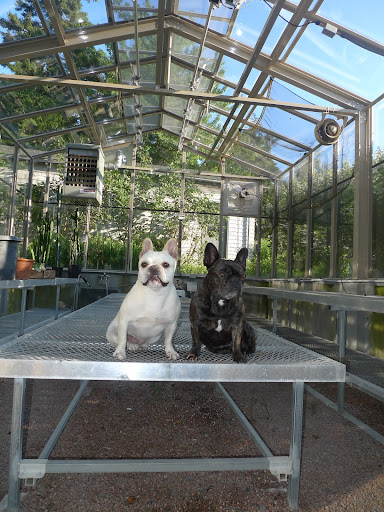 Well, here we are now in the empty Skylands greenhouse!  Don't you think the crew did a really nice job washing the windows?