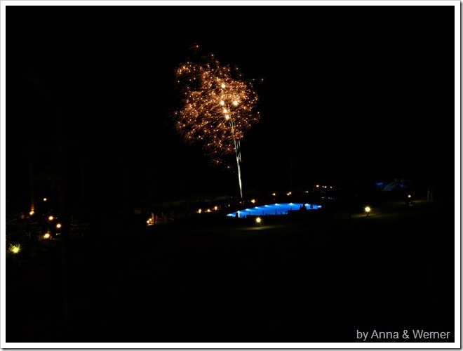 P1000624_bearbeitet_griechAbend7