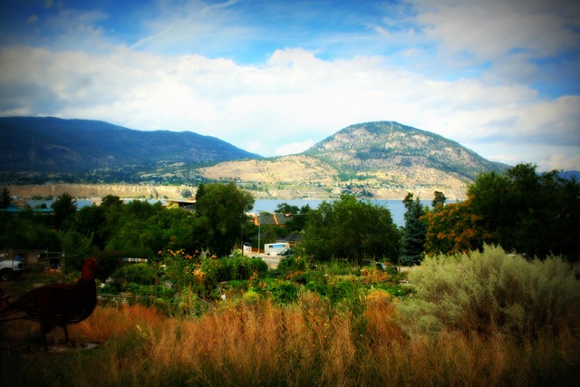 A scene in Penticton