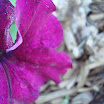my photos 029.JPG
