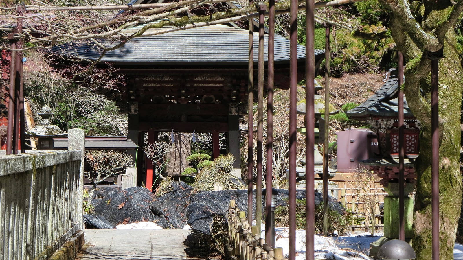 [IMG_0732%255B3%255D.jpg]