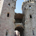 DSC07121.JPG