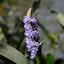 DSC_0473.JPG