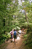 NZD2-11_JK_709.jpg