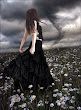 Dark Wishes