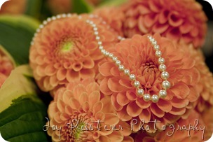 mlblogimg_0074