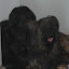DSC_8791.JPG