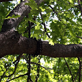 IMG_2659.JPG