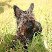 BP-2010-podzimko-1106-031.jpg