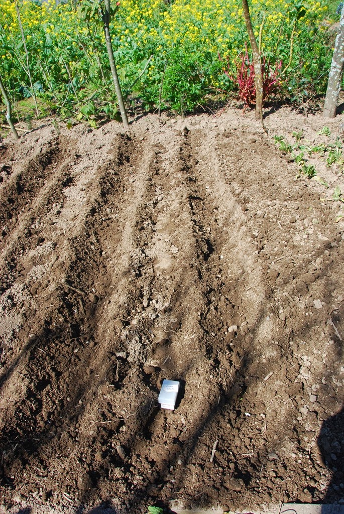 [DSC_0540%255B3%255D.jpg]