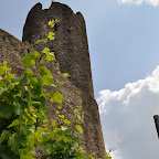 DSC_0582.jpg
