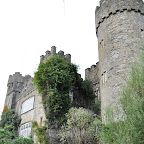 DSC_7463-2.jpg