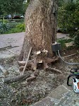IMG_0338.jpg IMG_0338.jpg