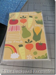seed book - The Backyard Farmwife