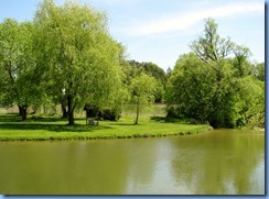 IMG_4427 IMG_4427