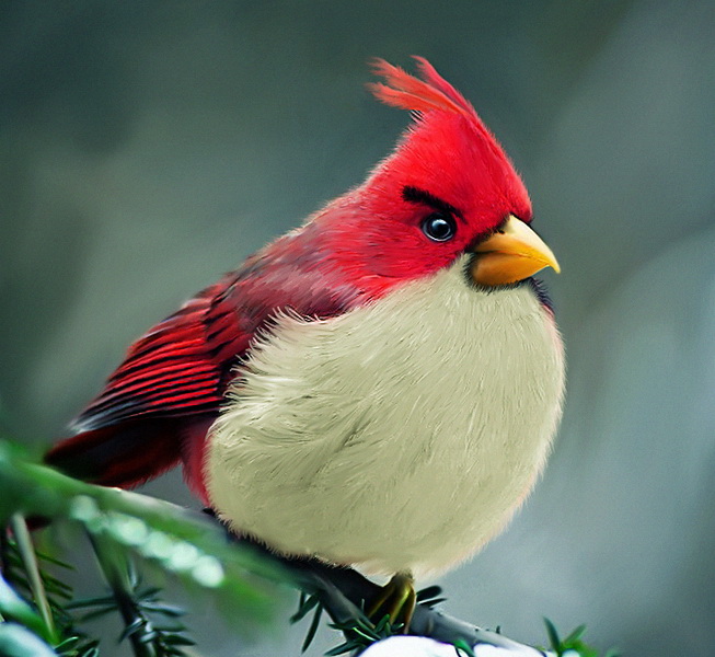 Real Time Angry Birds