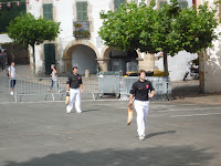 Local sport