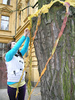 Dscn8260