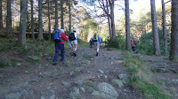 P1010945.JPG Photo