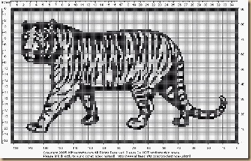 005 tiger
