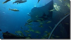 2012-07-16_12-58-38_587 2012-07-16_12-58-38_587