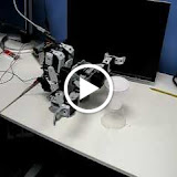 Fall2009therobot