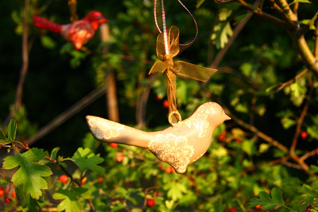 [L%2527uccellino%2520Flo-12%255B15%255D.jpg]