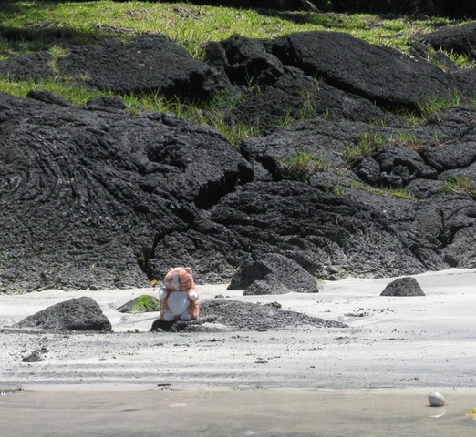 [IMG_7754cropped%255B2%255D.jpg]
