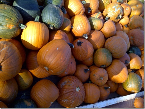 IMG-20111011-01343