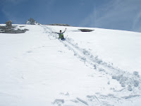 IMAGE_AFC27338-C0C6-41E3-BBB2-3313EF4BE0E6.JPG Photo