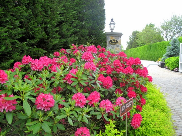 IMG_0858 IMG_0858