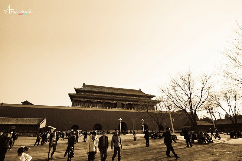DSC02595 DSC02595