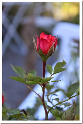 IMG_5002 IMG_5002