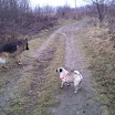 Spacer 03.12.2011