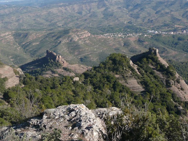 P1150348.JPG
