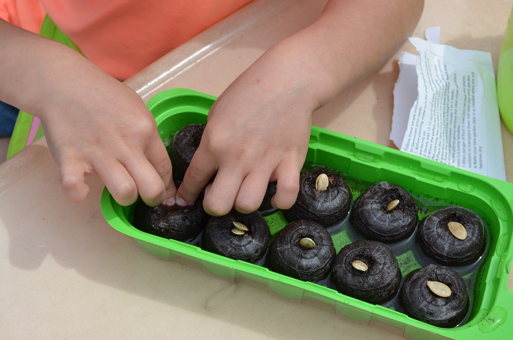 [DSC_0615%255B3%255D.jpg]