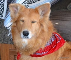 DSC_0129 DSC_0129