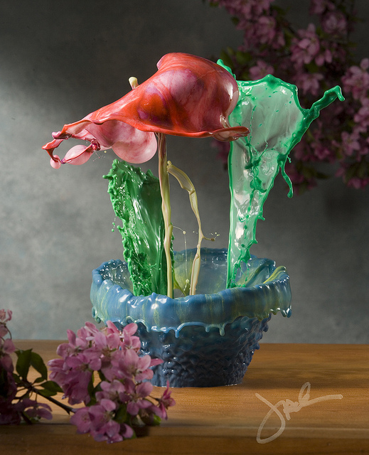 fiori-liquidi-jack-long-08-terapixel.jpg