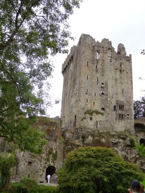 [DSC034795.jpg]