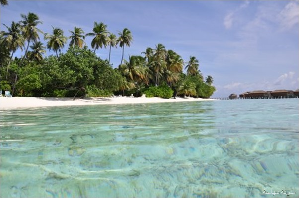  الرومانسية في جزر المالديف | جزيرة ميرو  JA_thumb%25255B6%25255D