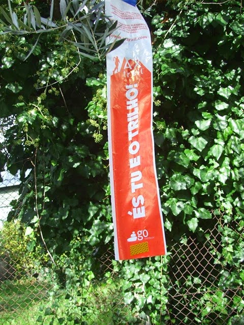 532916_520055978098039_8281727800502616124_n