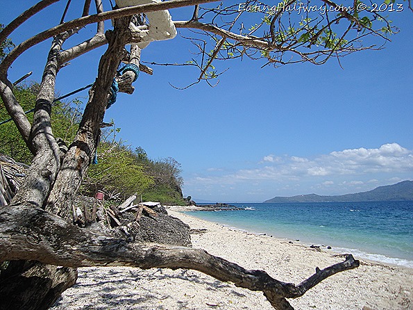 Branches that seems to reach out to sea
