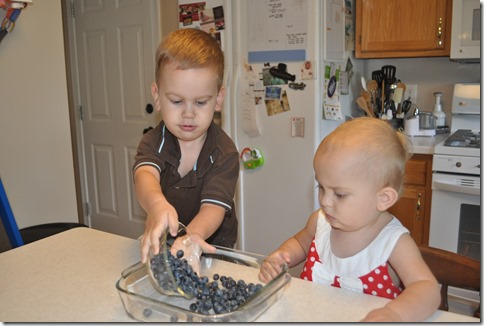 blueberry lemon dump cake, blueberry cake, kids in the kitchen, cooking with kids, blueberry lemon cake