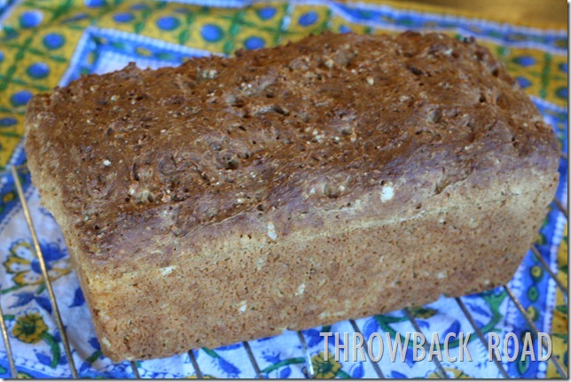 irish bread 016