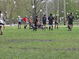 Picture 015.jpg