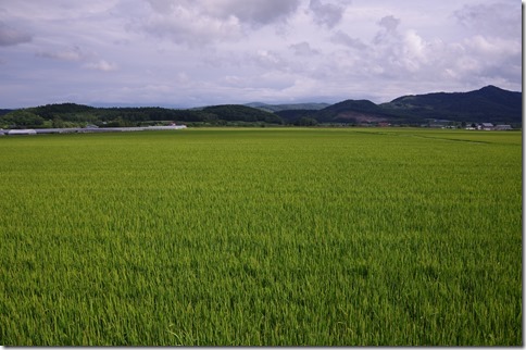 IMGP5859 IMGP5859
