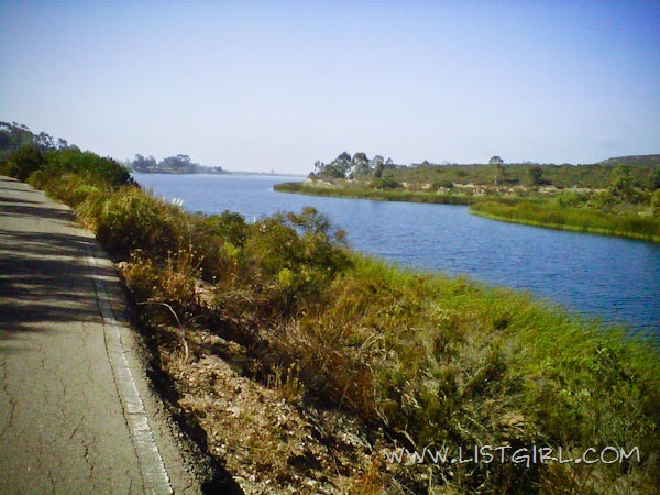 [20111015-IMG00125-20111015-1112_600%255B3%255D.jpg]