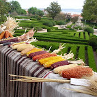 Jardim Bot&Atilde;&cent;nico da Ajuda